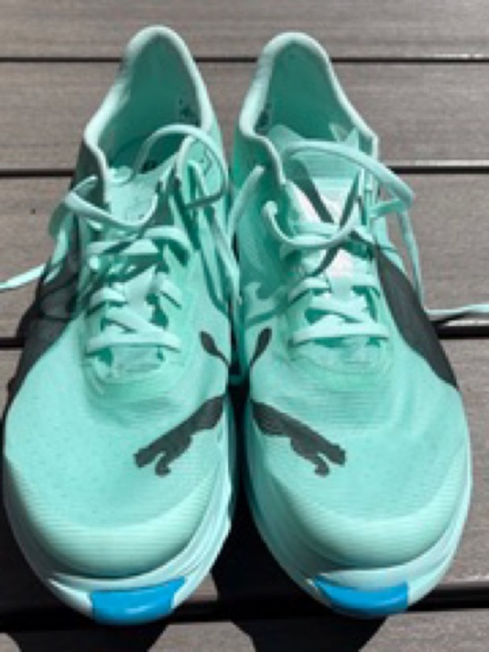 Puma Fast R Nitro Elite 3